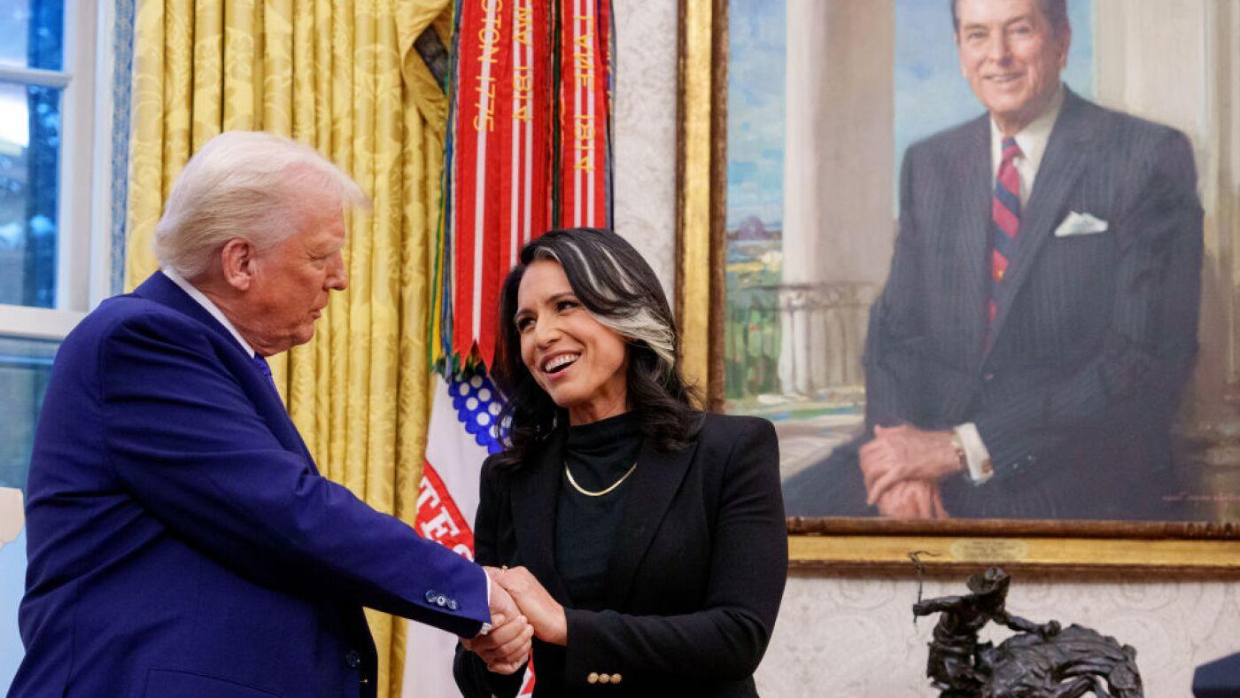Tulsi Gabbard Takes Helm as Director of National Intelligence